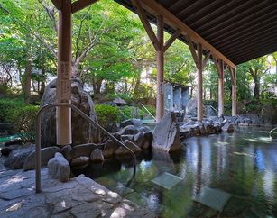 『ひぜん祐徳温泉 宝乃湯』【一般】入浴料割引きクーポン